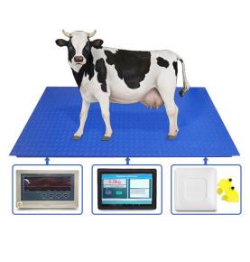 Systém váženia RFID na rozpoznávanie ušných značiek dobytka elektronická váha zvierat Poschodová váha na rozpoznávanie ušných značiek zvierat RFID s inteligentným dotykovým displejom
